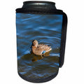 3dRose Alexis Photography - Birds - Adorable mallard duck in a cold water on a sunny spring day - Can Cooler Bottle Wrap (cc_285815)