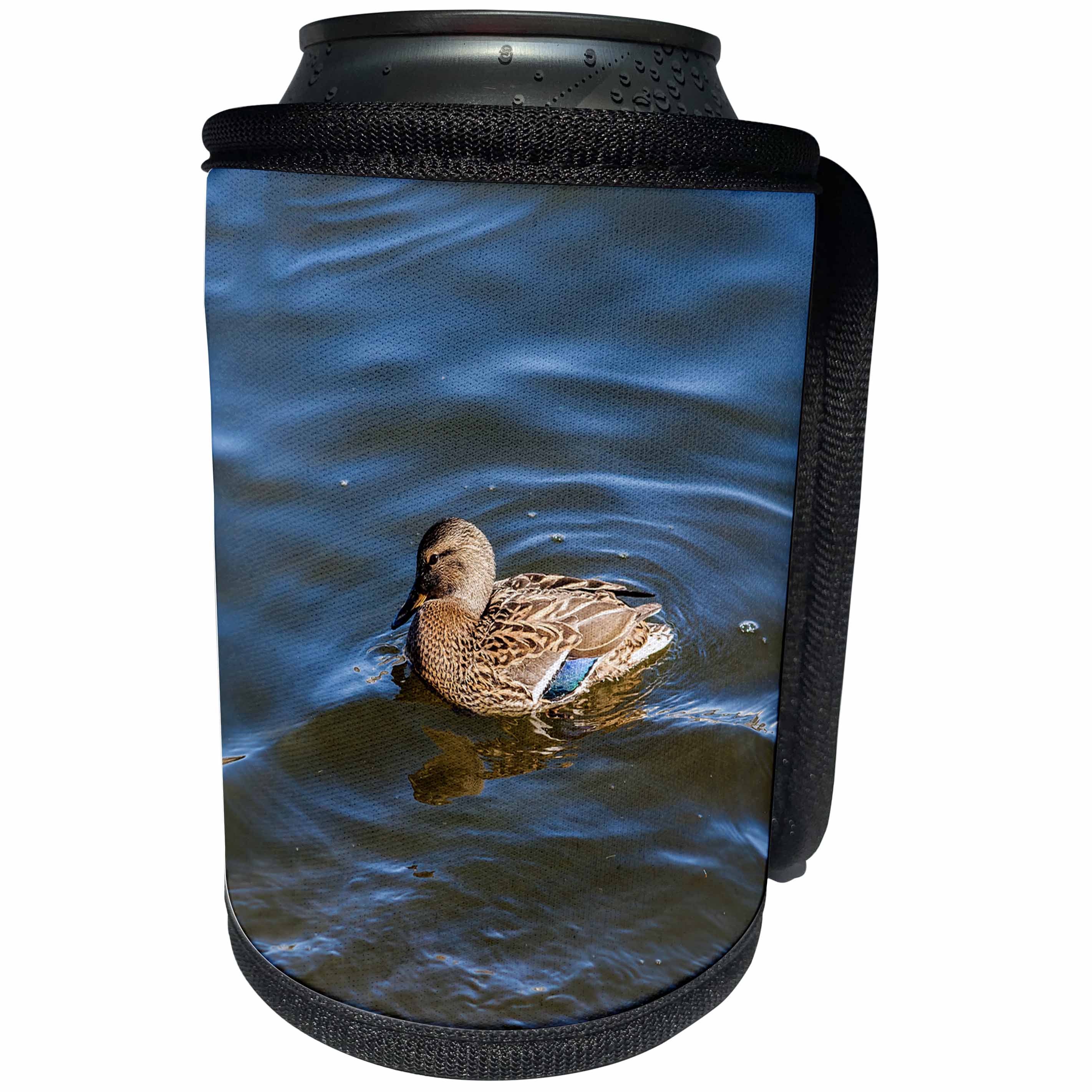 3dRose Alexis Photography - Birds - Adorable mallard duck in a cold water on a sunny spring day - Can Cooler Bottle Wrap (cc_285815)
