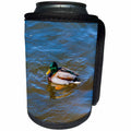 3dRose Can Cooler Bottle Wrap - Alexis Photography - Male Mallard Duck Swims in Water on Sunny Spring Day
