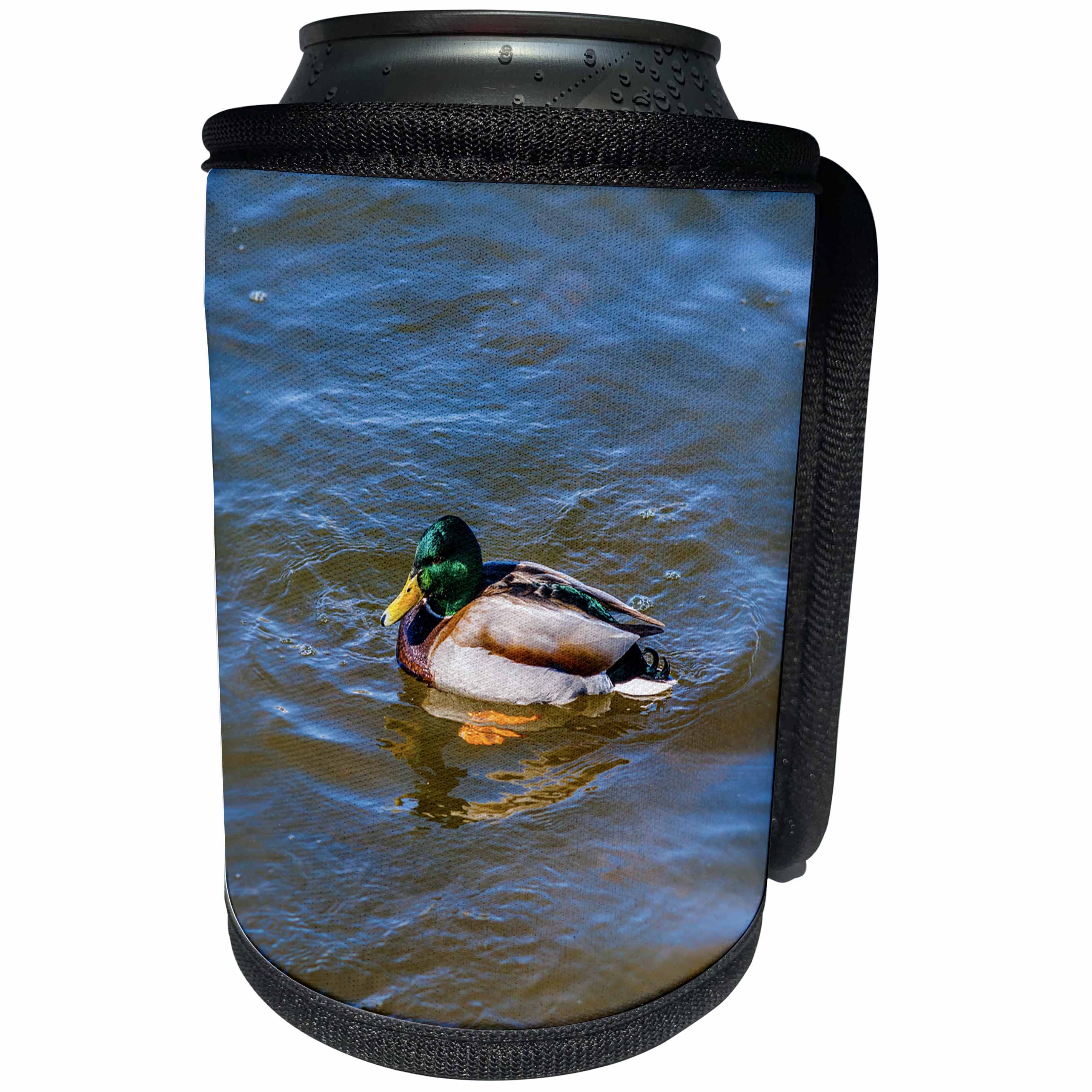 3dRose Can Cooler Bottle Wrap - Alexis Photography - Male Mallard Duck Swims in Water on Sunny Spring Day