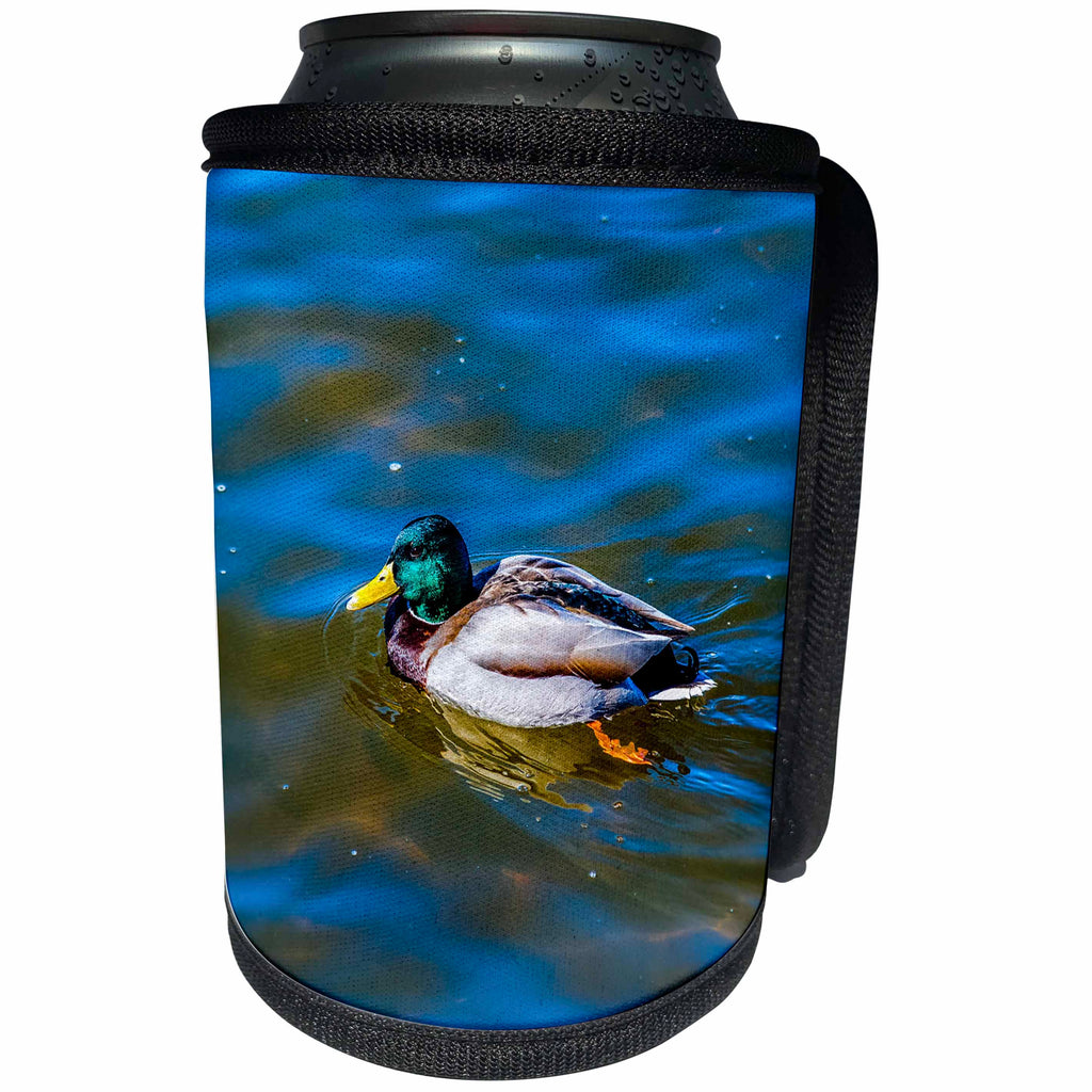 3dRose Alexis Photography - Birds - Beautiful male mallard duck swims in a calm water on a sunny day - Can Cooler Bottle Wrap (cc_285818)