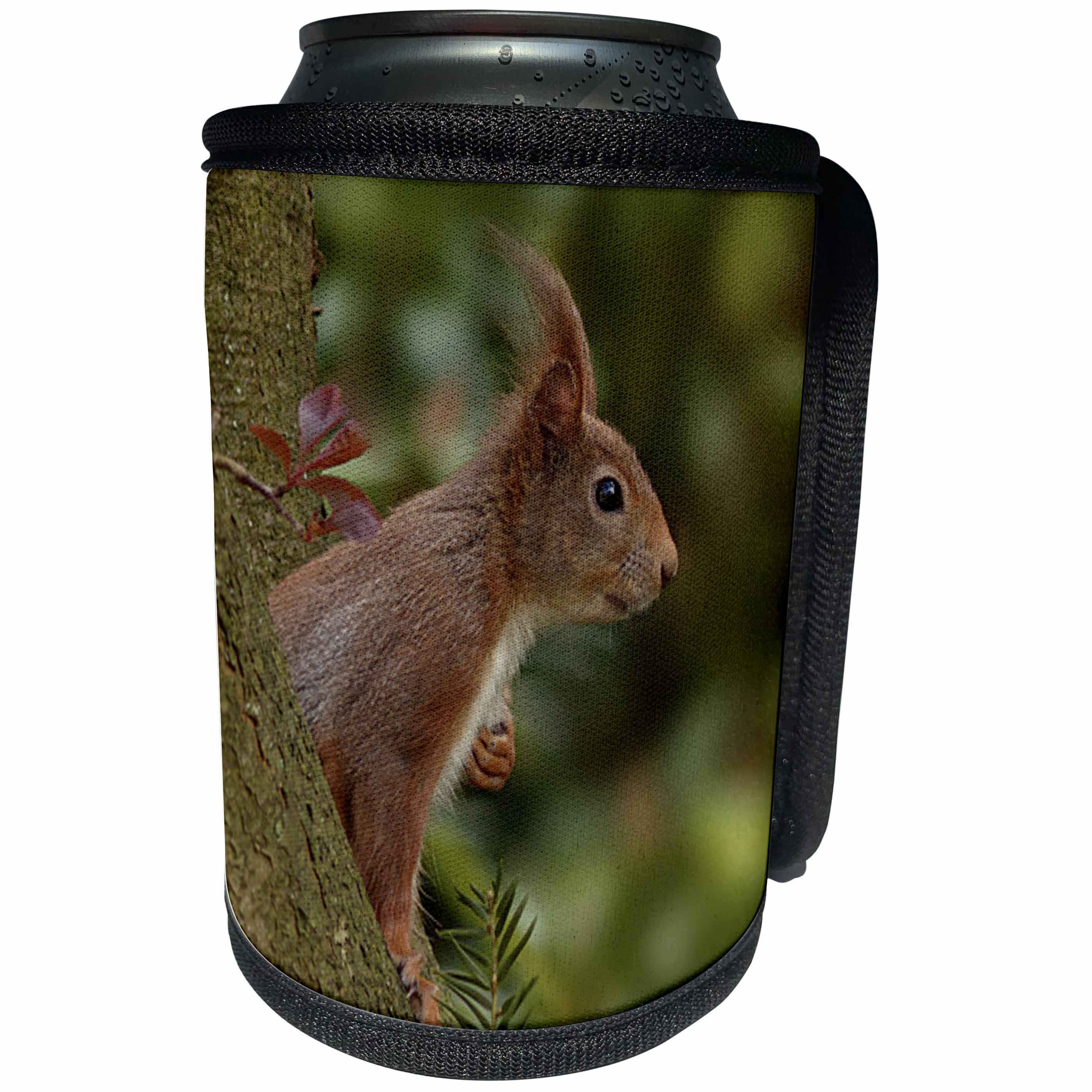 3dRose Sven Herkenrath Animal - Cute Red Squirrel Looking Out Of A Tree Wildlife Photography - Can Cooler Bottle Wrap (cc_286392)