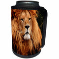 3dRose Sven Herkenrath Animal - Majestic Lion With A Furry Head Wildlife Photography - Can Cooler Bottle Wrap (cc_286407)