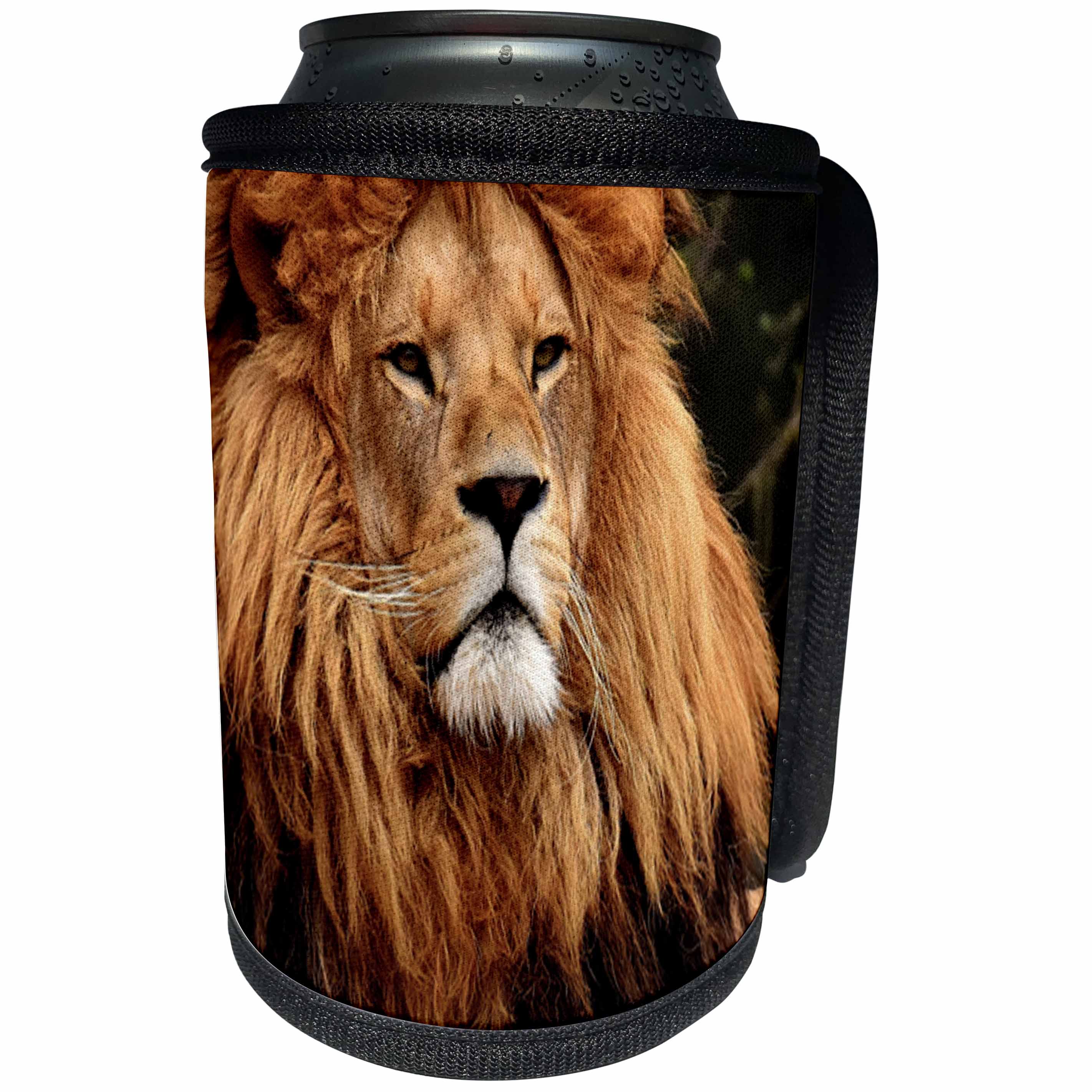 3dRose Sven Herkenrath Animal - Majestic Lion With A Furry Head Wildlife Photography - Can Cooler Bottle Wrap (cc_286407)
