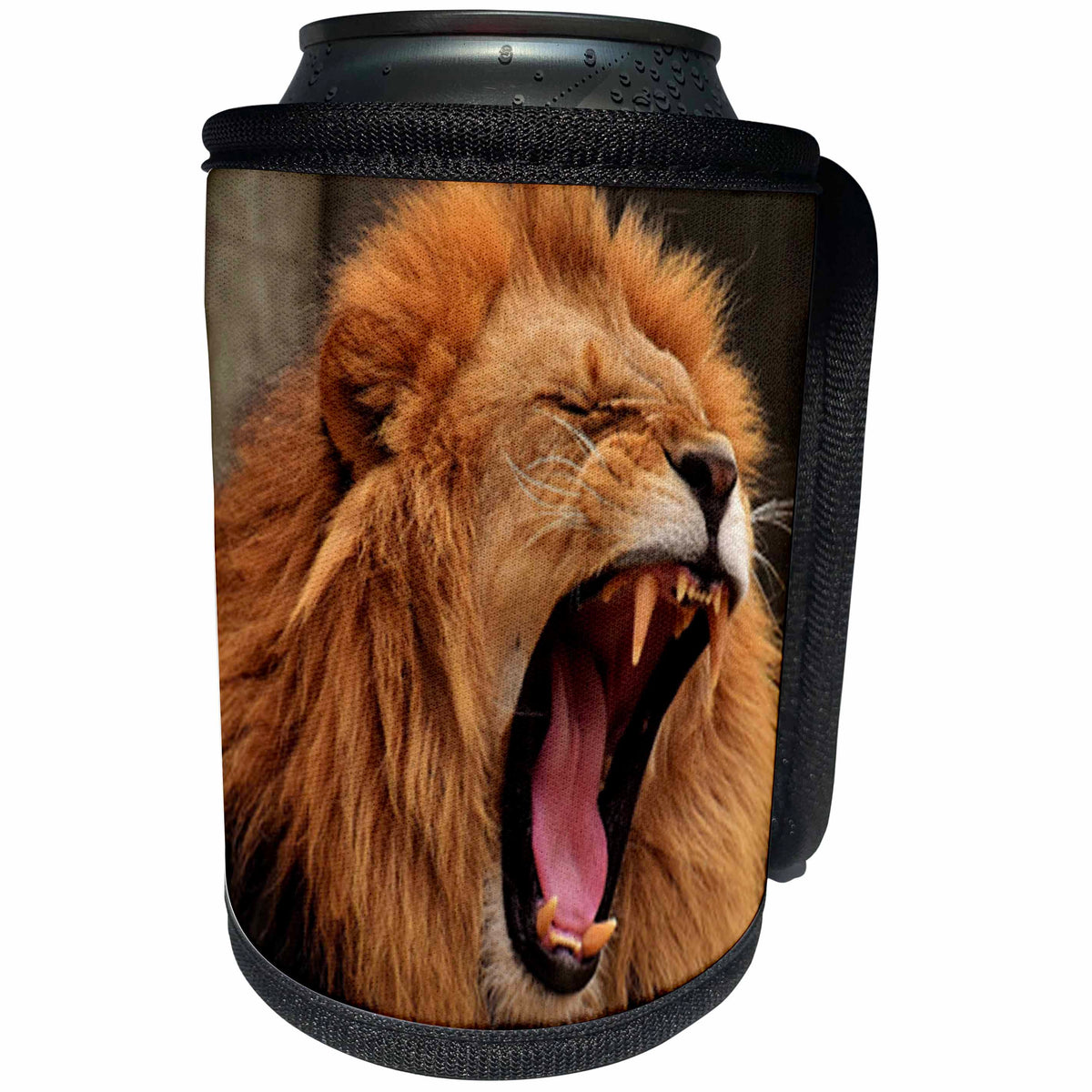 3dRose Sven Herkenrath Animal - Majestic Lion Roaring Wildlife Photography - Can Cooler Bottle Wrap (cc_286408)