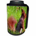 3dRose Sven Herkenrath Animal - Cute Red Squirrel Sitting In The Grass Wildlife Photography - Can Cooler Bottle Wrap (cc_286415)