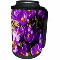 3dRose Alexis Photography - Flowers Crocus - Sunlit violet or dark purple crocus flowers. Beauty of spring season - Can Cooler Bottle Wrap (cc_286551)