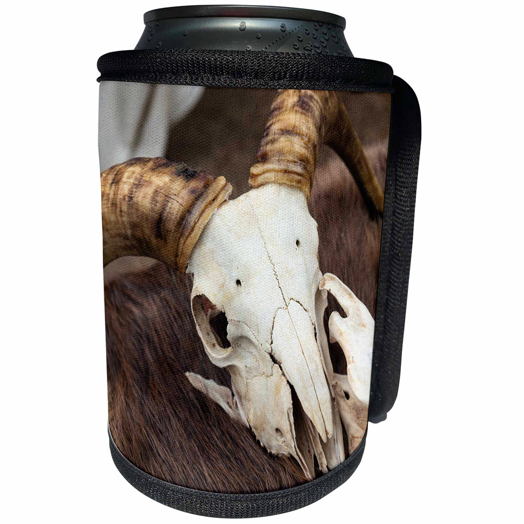 3dRose Alexis Photography - Objects Animal Skull - Goat skull on of white color on a brown animal hide. Large horns - Can Cooler Bottle Wrap (cc_286562)