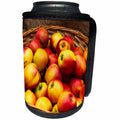 3dRose Alexis Photography - Food Apple - Red, yellow color apple fruits in a wicker basket. Healthy food - Can Cooler Bottle Wrap (cc_286608)