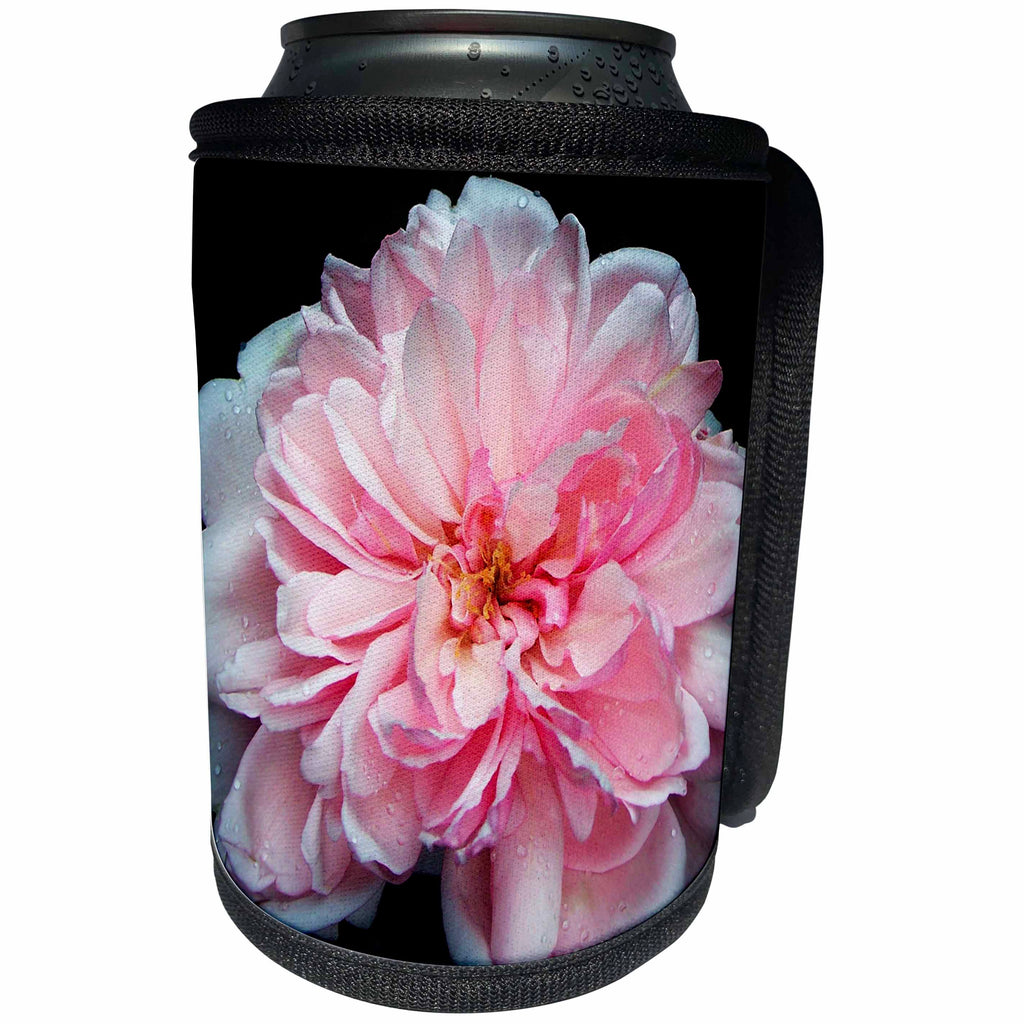 3dRose iloveFlowers Photography - Pink Amelia Rose Flower - Can Cooler Bottle Wrap (cc_28689)