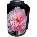3dRose iloveFlowers Photography - Pink Amelia Rose Flower - Can Cooler Bottle Wrap (cc_28689)