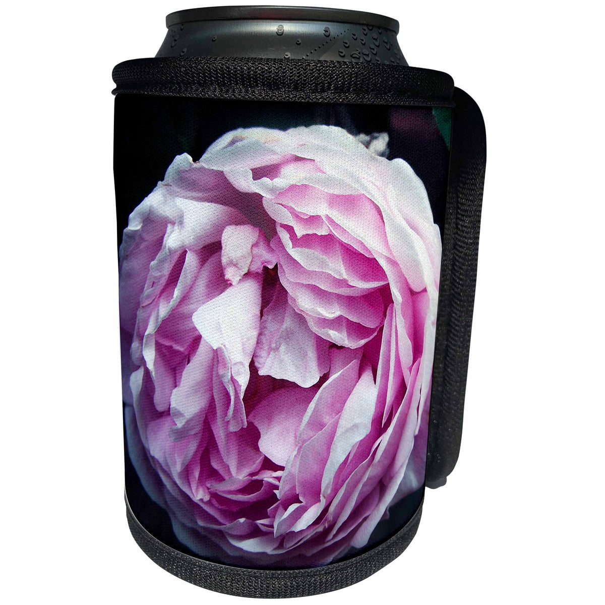 3dRose iloveFlowers Photography - Pink Wedgwood Rose Flower - Can Cooler Bottle Wrap (cc_28691)