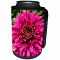 3dRose iloveFlowers Photography - Pink Jenna Dahlia Flower - Can Cooler Bottle Wrap (cc_28692)