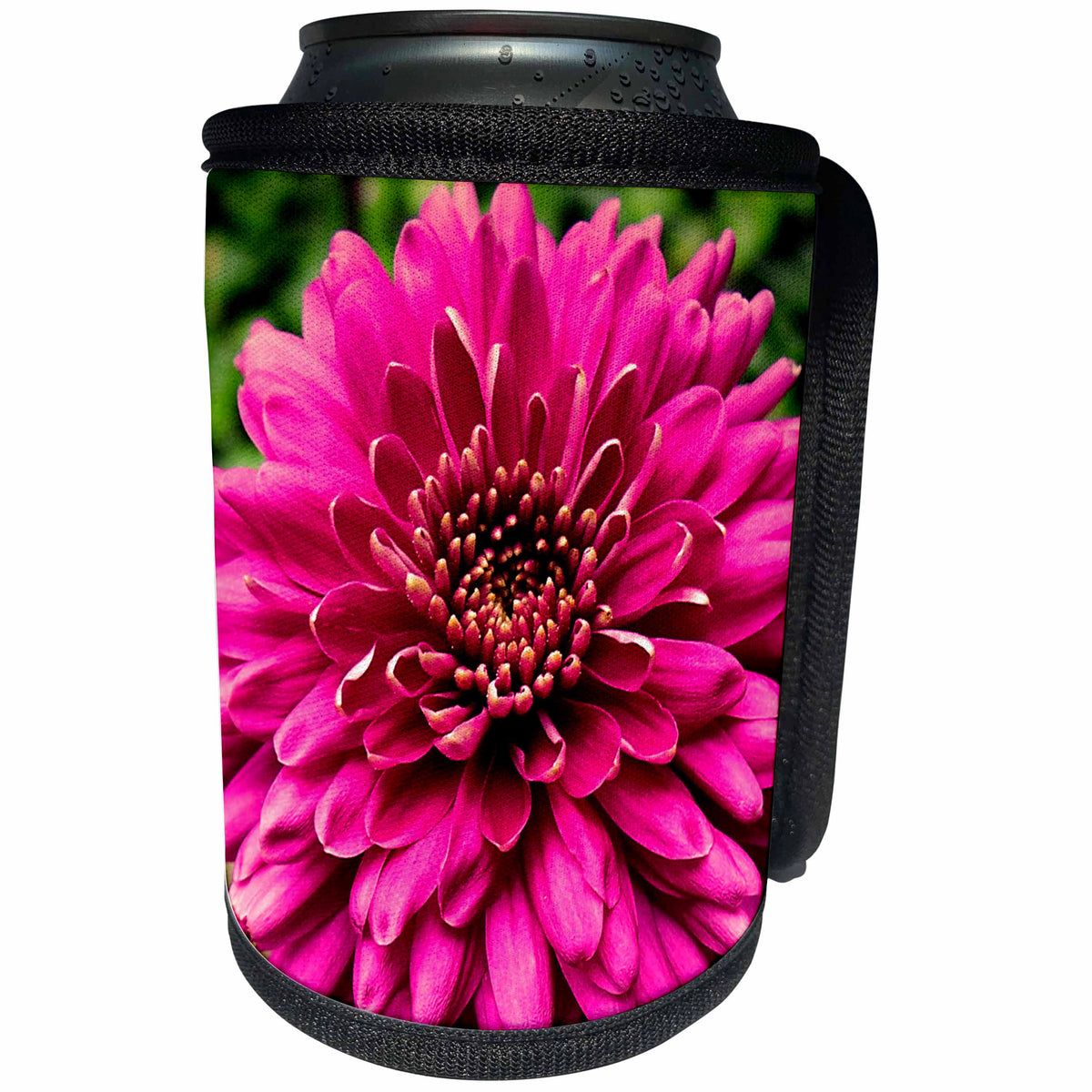 3dRose iloveFlowers Photography - Pink Jenna Dahlia Flower - Can Cooler Bottle Wrap (cc_28692)