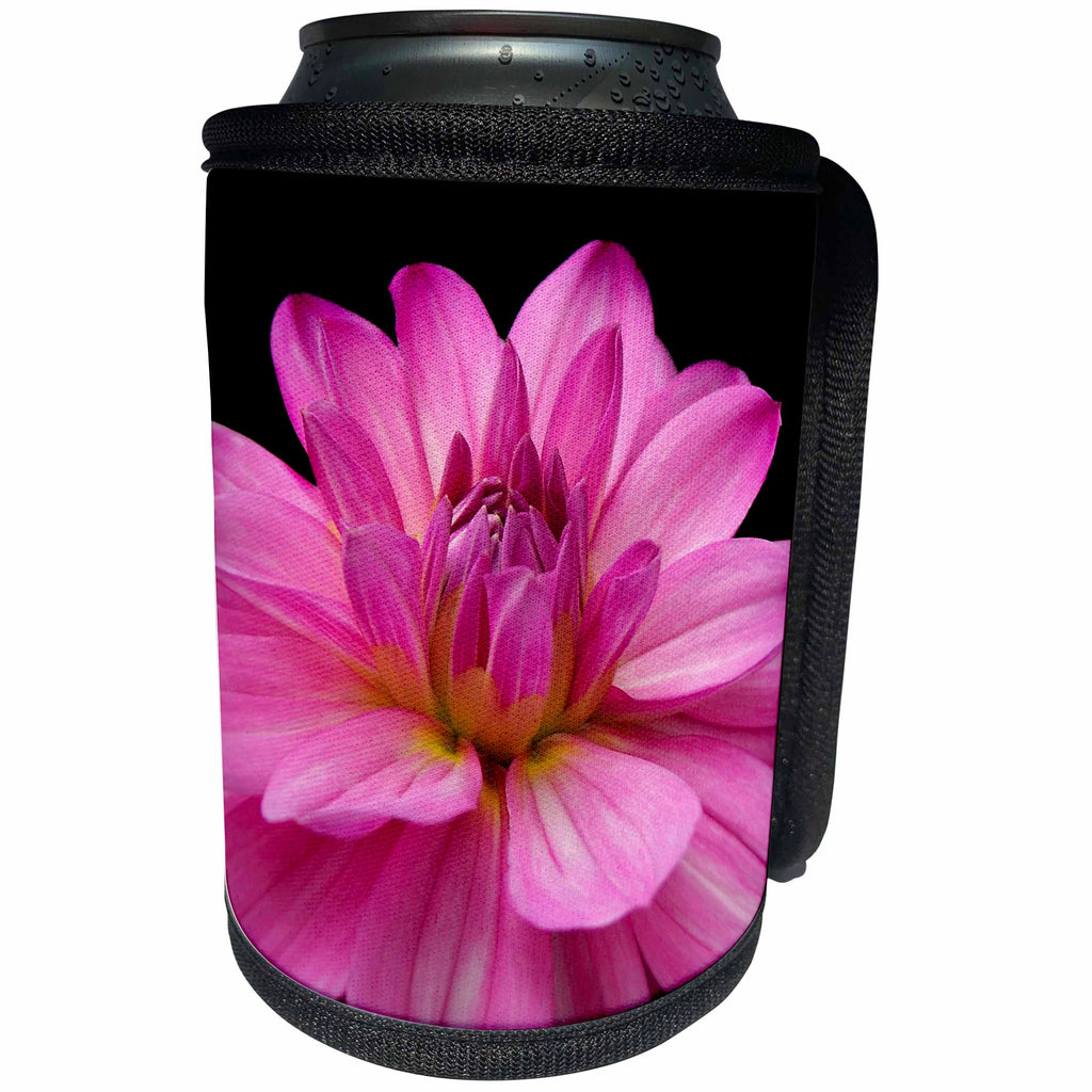 3dRose iloveFlowers Photography - Pink Figurine Dahlia Flower - Can Cooler Bottle Wrap (cc_28693)