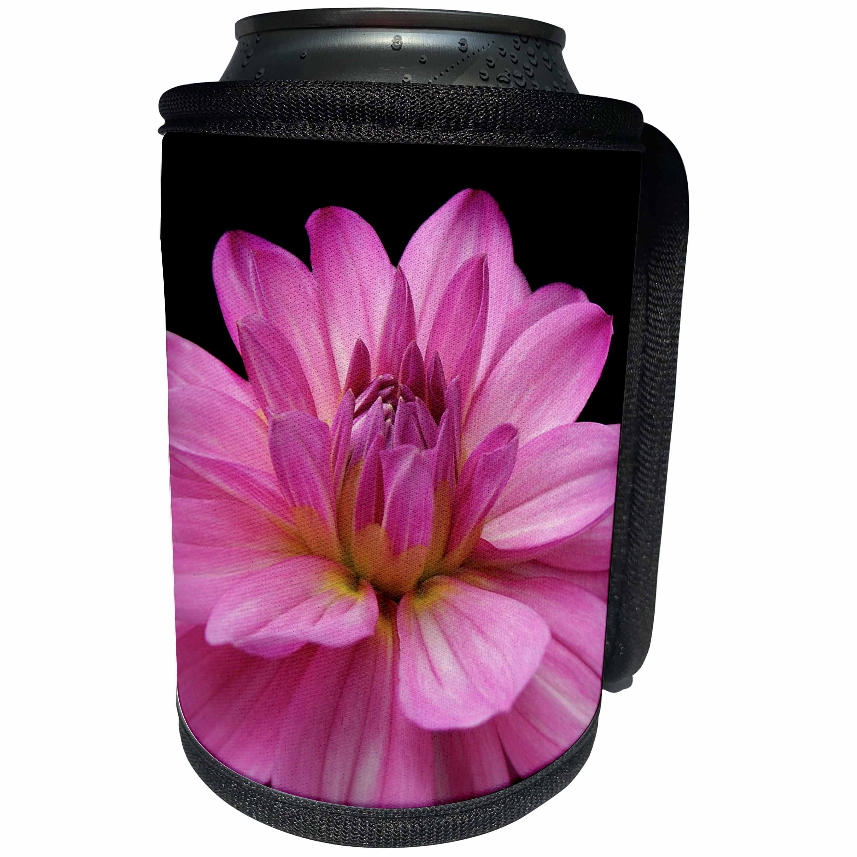 3dRose iloveFlowers Photography - Pink Figurine Dahlia Flower - Can Cooler Bottle Wrap (cc_28693)