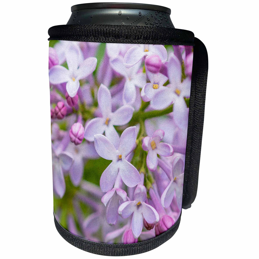 3dRose Alexis Photography - Flowers Lilacs - Macro view of a purple lilac flowers. Freshness and beauty of spring - Can Cooler Bottle Wrap (cc_287359)