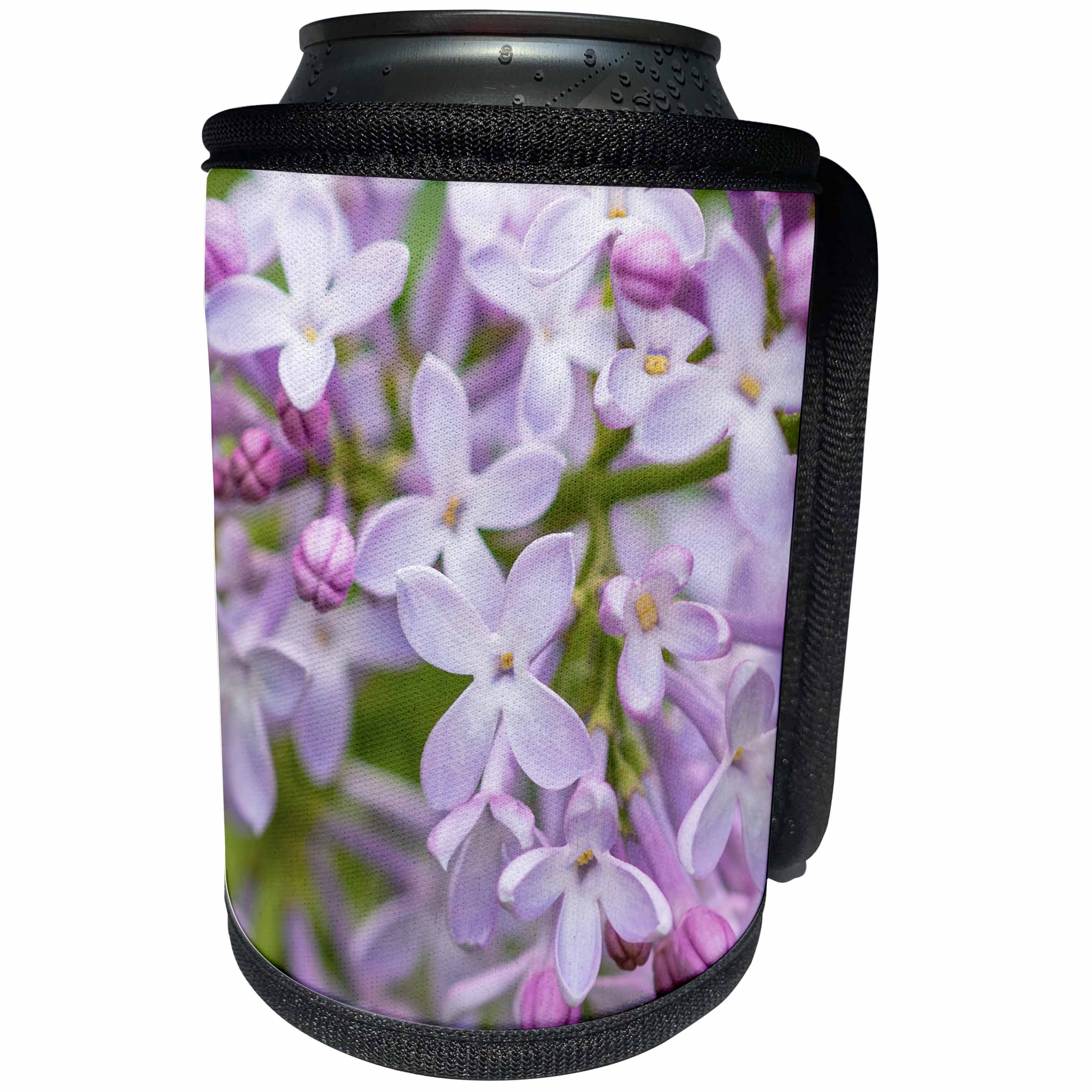 3dRose Alexis Photography - Flowers Lilacs - Macro view of a purple lilac flowers. Freshness and beauty of spring - Can Cooler Bottle Wrap (cc_287359)