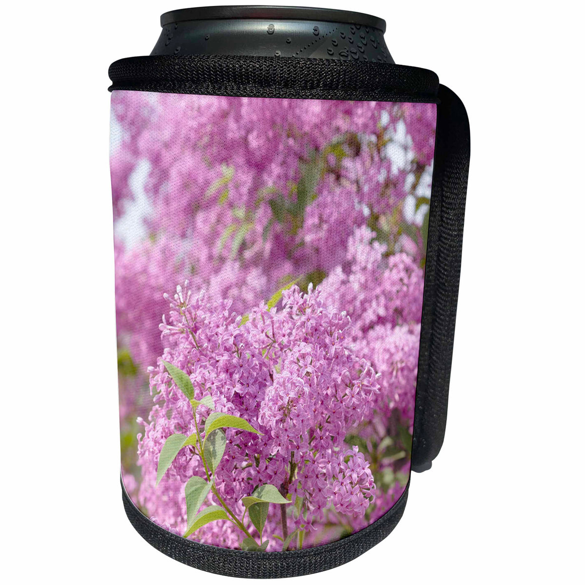 3dRose Alexis Photography - Flowers Lilacs - Blooming lilac bush. Clusters of beautiful pink flowers. - Can Cooler Bottle Wrap (cc_287364)