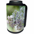 3dRose Alexis Photography - Flowers Lilacs - White and purple color lilac flowers, soft beige, green background - Can Cooler Bottle Wrap (cc_287369)