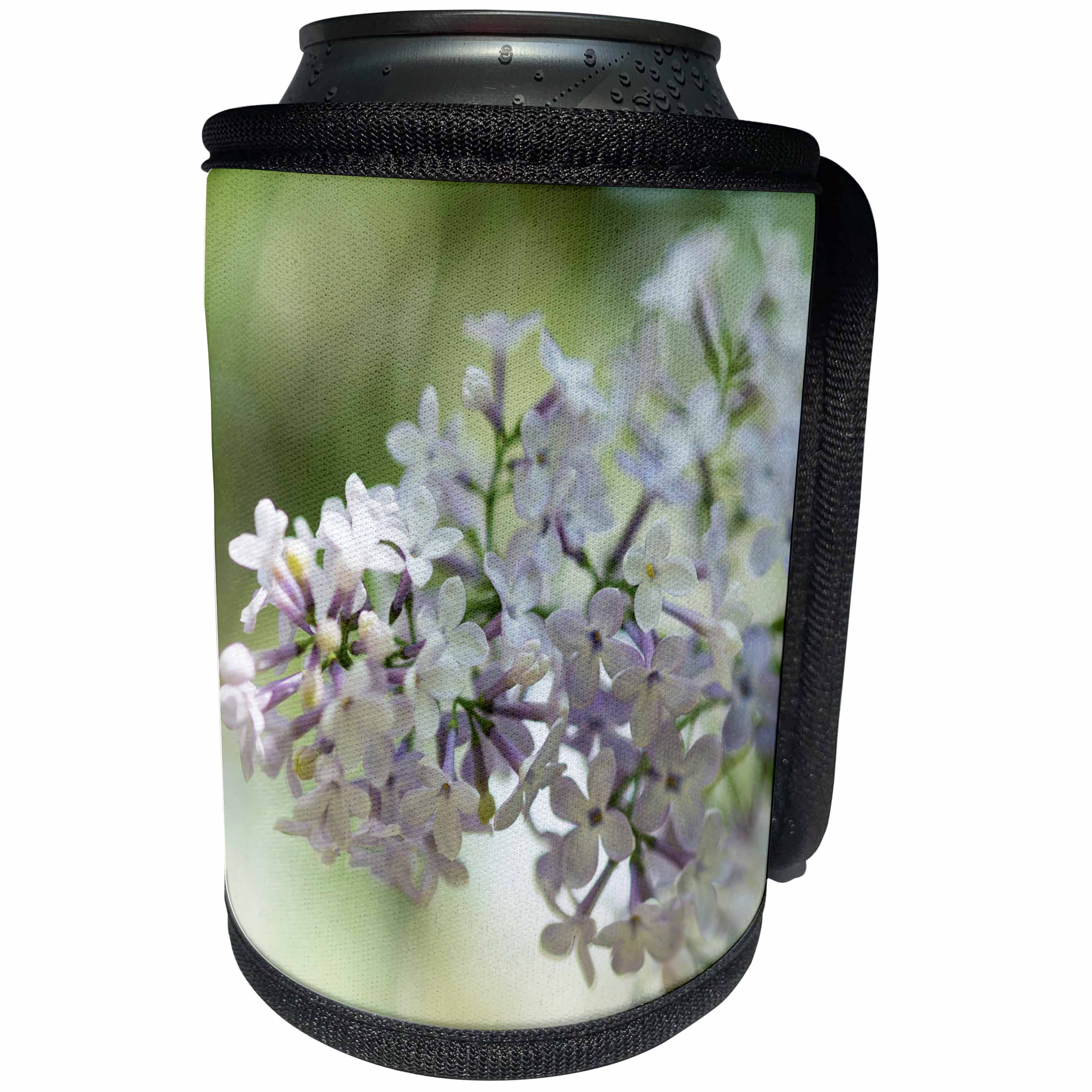 3dRose Alexis Photography - Flowers Lilacs - White and purple color lilac flowers, soft beige, green background - Can Cooler Bottle Wrap (cc_287369)