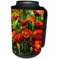 3dRose Alexis Photography - Flowers Marigold - Red marigold calendula flowers, green stems, sunny summer day - Can Cooler Bottle Wrap (cc_287373)