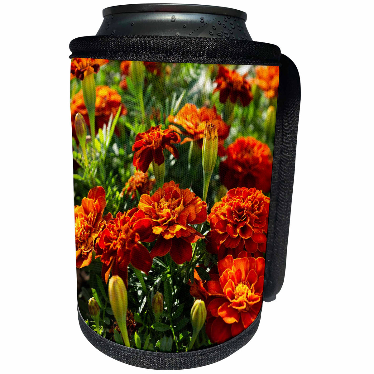 3dRose Alexis Photography - Flowers Marigold - Red marigold calendula flowers, green stems, sunny summer day - Can Cooler Bottle Wrap (cc_287373)