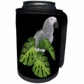 3dRose Sven Herkenrath Animal - Beautiful Grey Parrot On Black Background - Can Cooler Bottle Wrap (cc_288307)