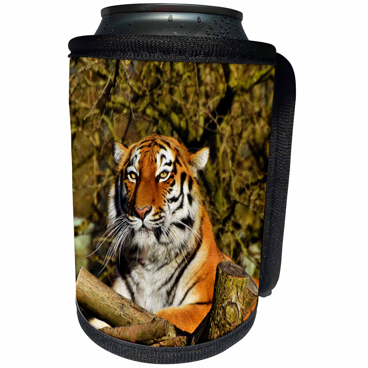 3dRose Sven Herkenrath Animal - Majestic Tiger Sitting On A Tree Wildlife Photography - Can Cooler Bottle Wrap (cc_288311)