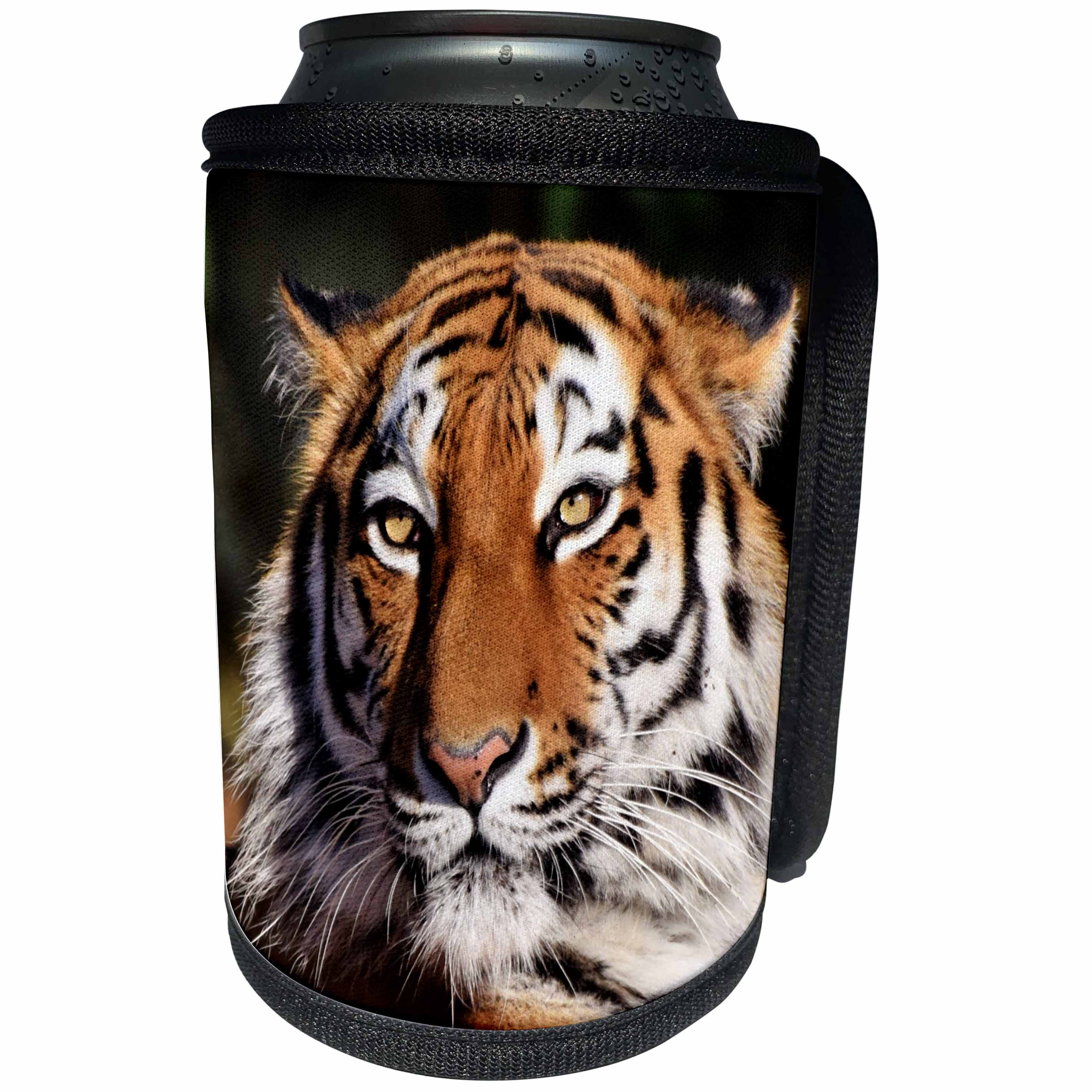 3dRose Sven Herkenrath Animal - Portrait Of A Majestic Tiger Wildlife Photography - Can Cooler Bottle Wrap (cc_288312)