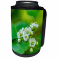 3dRose Alexis Photography - Flowers - Cluster of white hawthorn flowers, green, yellow background - Can Cooler Bottle Wrap (cc_288331)
