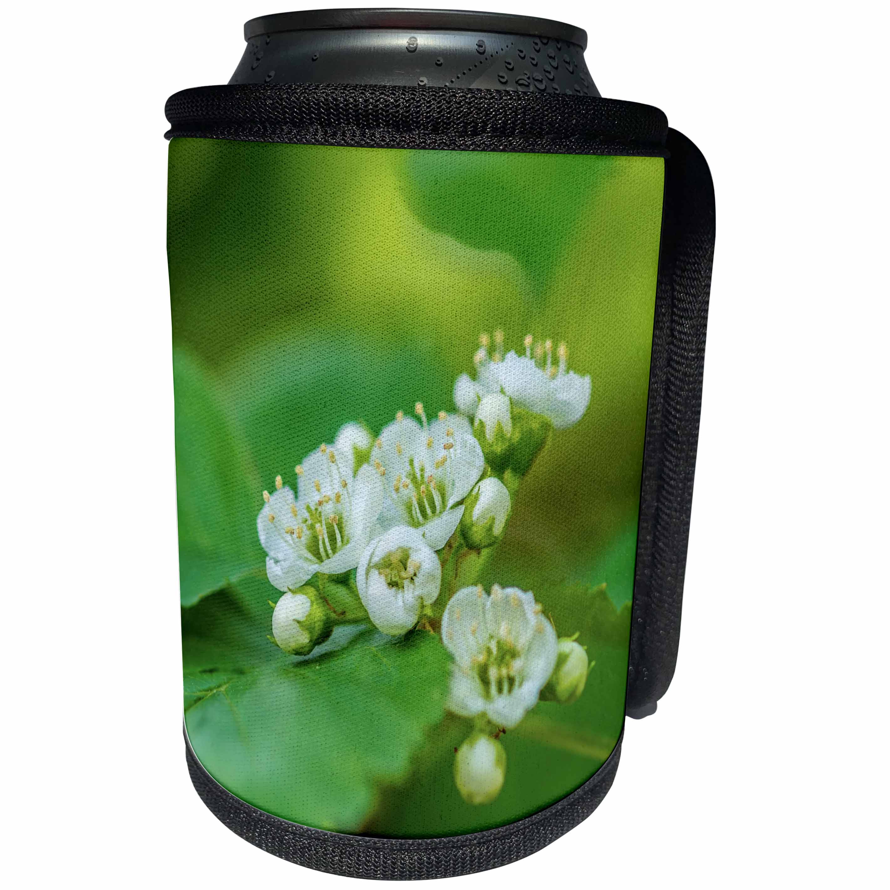 3dRose Alexis Photography - Flowers - Cluster of white hawthorn flowers, green, yellow background - Can Cooler Bottle Wrap (cc_288331)