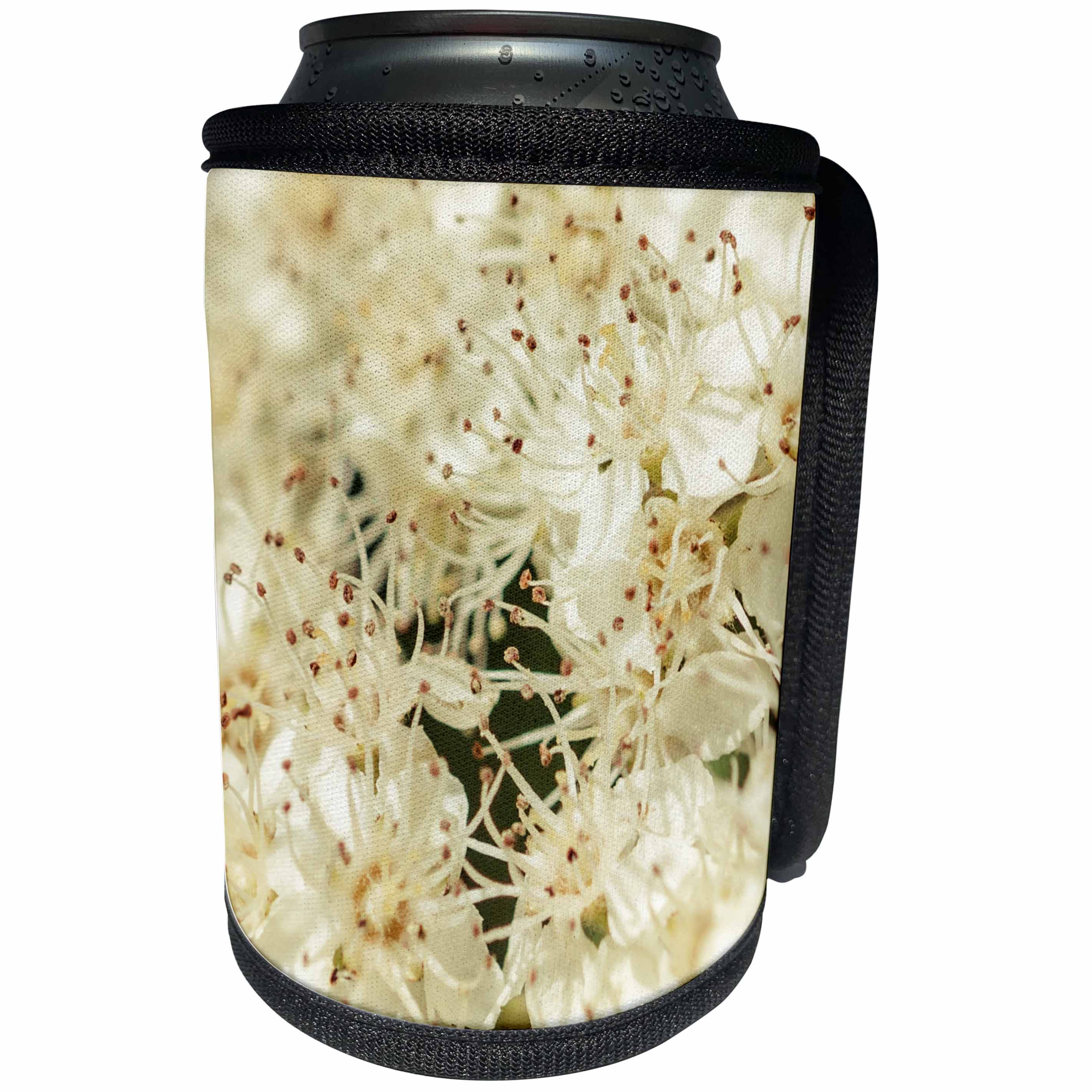 3dRose Alexis Photography - Flowers Rowan - Macro view of rowan flowers of beige color. Stylized photo - Can Cooler Bottle Wrap (cc_288343)