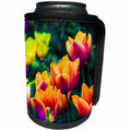 3dRose Alexis Photography - Flowers Tulips - Impressive orange, purple tulips on a flowerbed, colors of spring - Can Cooler Bottle Wrap (cc_288351)