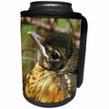 3dRose Cassie Peters Birds - Baby Robin - Can Cooler Bottle Wrap (cc_288445)