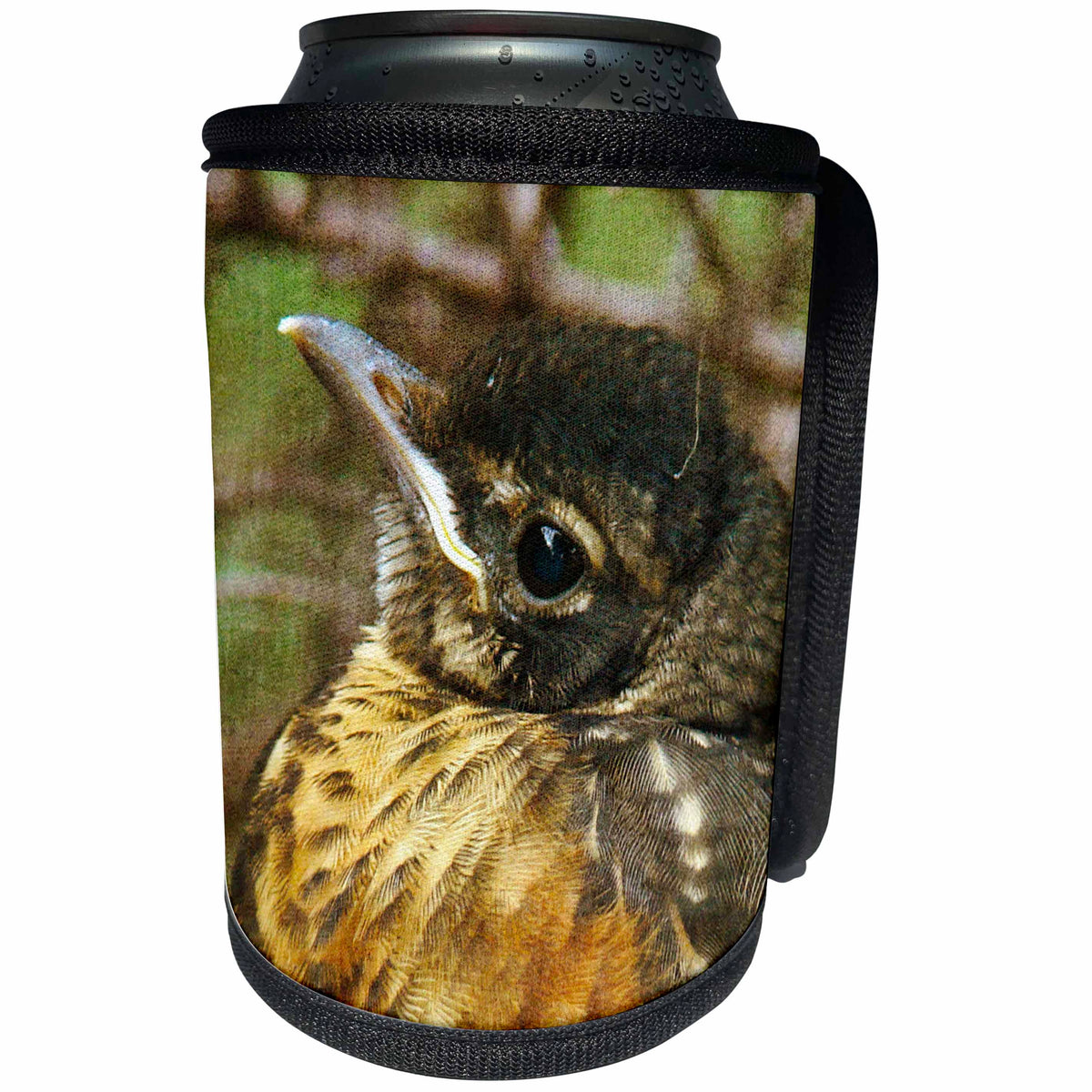 3dRose Cassie Peters Birds - Baby Robin - Can Cooler Bottle Wrap (cc_288445)