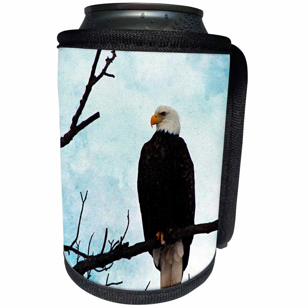 3dRose Cassie Peters Birds - American Bald Eagle - Can Cooler Bottle Wrap (cc_288446)