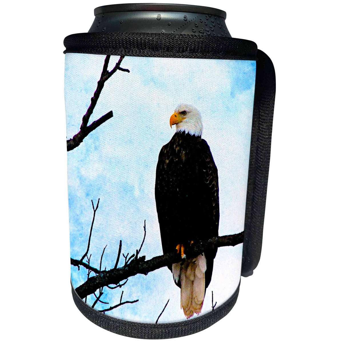 3dRose Cassie Peters Birds - American Bald Eagle on Tree Branch - Can Cooler Bottle Wrap (cc_288458)