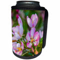 3dRose Alexis Photography - Flowers Crab Apple - Pink, yellow, green colors of a crabapple tree in bloom. Floral scene - Can Cooler Bottle Wrap (cc_288809)