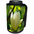 3dRose Alexis Photography - Flowers Magnolia - White magnolia flower, green background, play of light and shadows - Can Cooler Bottle Wrap (cc_288827)