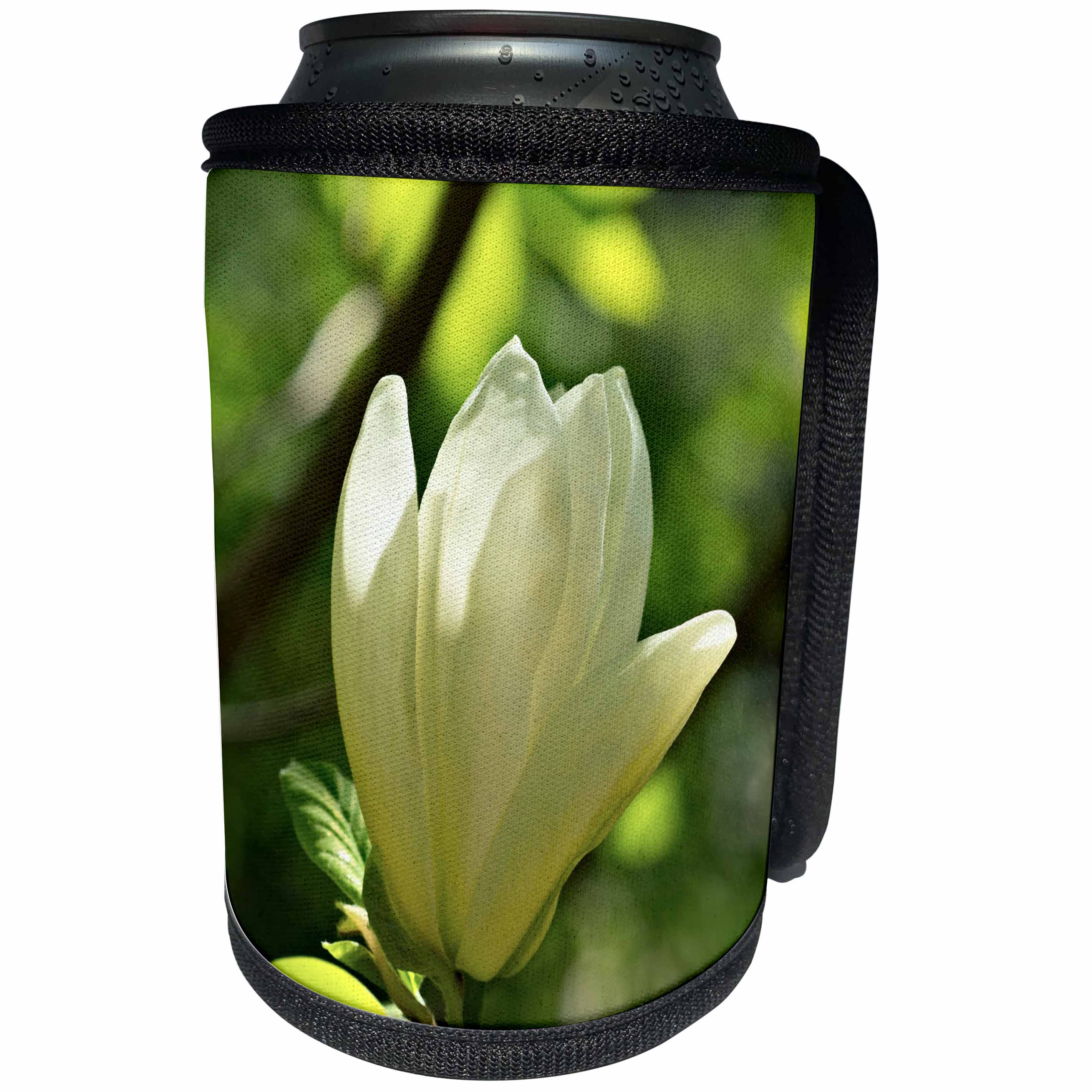 3dRose Alexis Photography - Flowers Magnolia - White magnolia flower, green background, play of light and shadows - Can Cooler Bottle Wrap (cc_288827)