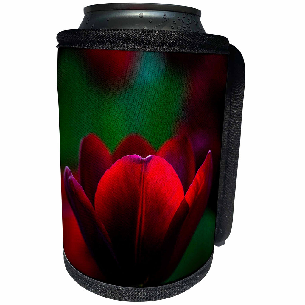 3dRose Alexis Photography - Flowers Tulips - Wine red sunlit tulip flower. Dark green backdrop. Floral elegance - Can Cooler Bottle Wrap (cc_288838)