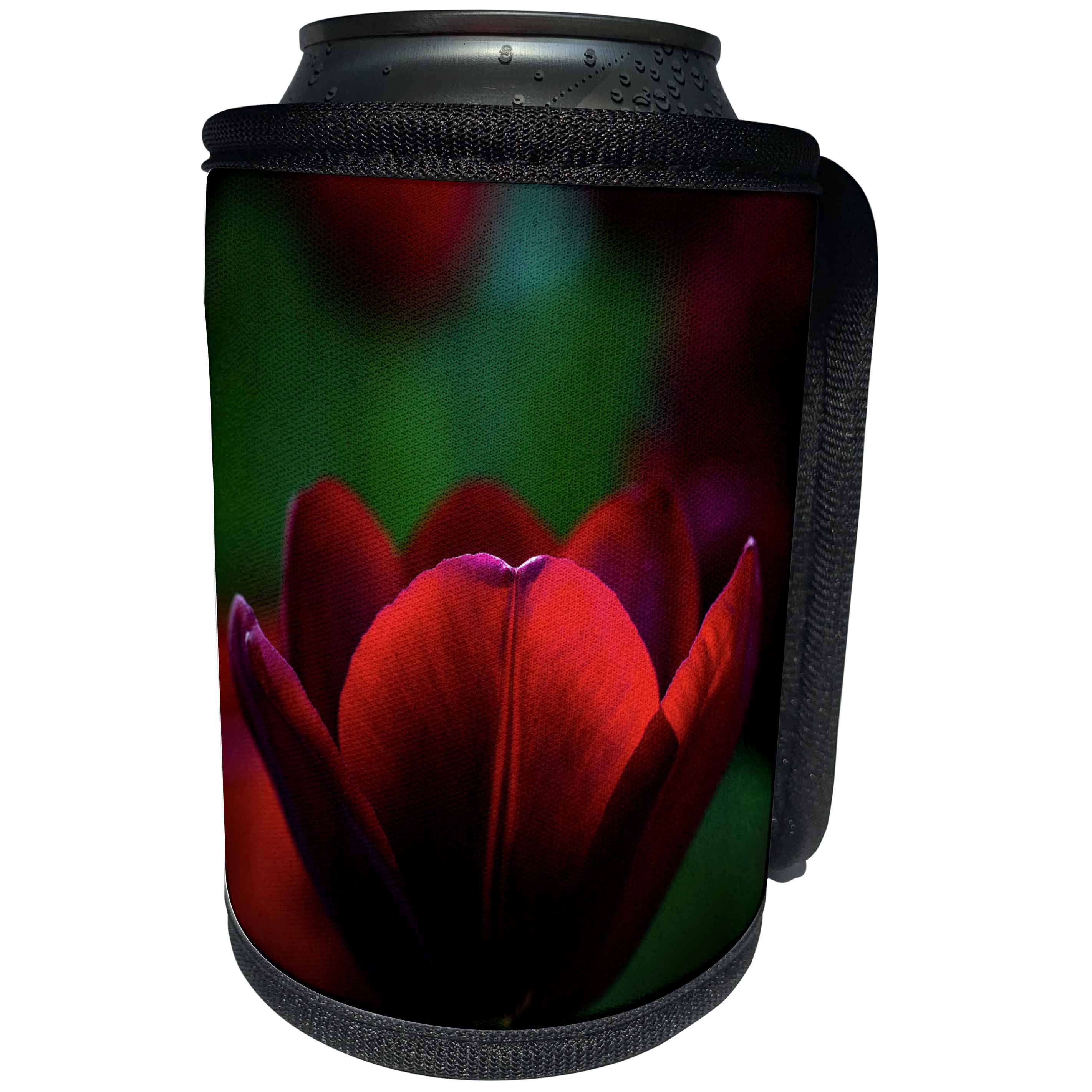 3dRose Alexis Photography - Flowers Tulips - Wine red sunlit tulip flower. Dark green backdrop. Floral elegance - Can Cooler Bottle Wrap (cc_288838)