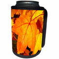 3dRose Renderly Yours Autumn And Halloween - Beautiful Orange And Gold Fall Leaves - Can Cooler Bottle Wrap (cc_28919)