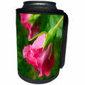 3dRose Renderly Yours Florals - Beautiful Pink Rose - Can Cooler Bottle Wrap (cc_28920)
