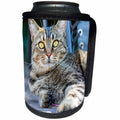 3dRose Elysium Photography - Animals - Whiskey the cat lounging in the yard - Can Cooler Bottle Wrap (cc_289561)