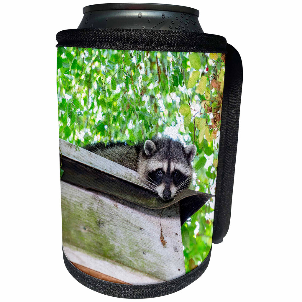 3dRose Elysium Photography - Animals - Raccoon on the roof - Can Cooler Bottle Wrap (cc_289575)