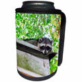 3dRose Elysium Photography - Animals - Raccoon on the roof - Can Cooler Bottle Wrap (cc_289575)