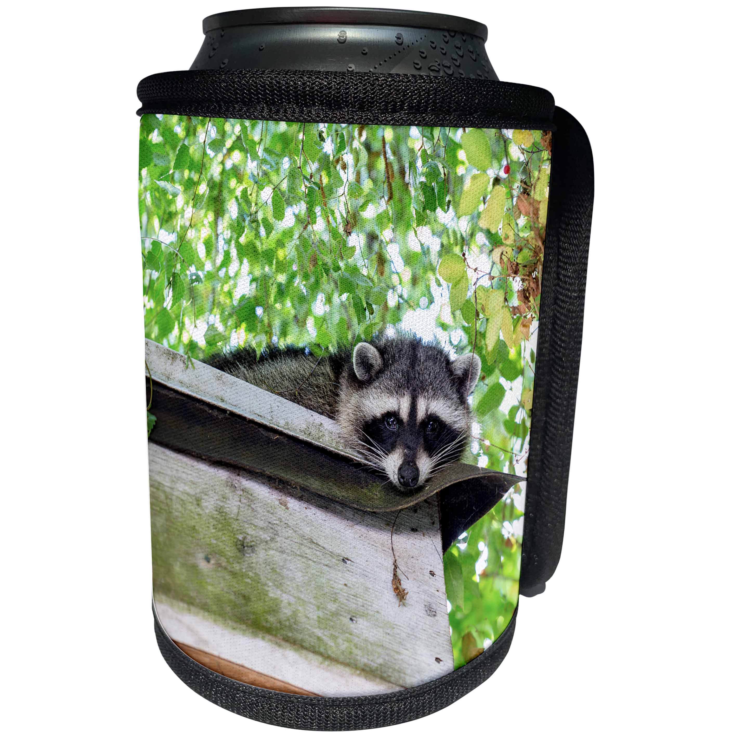 3dRose Elysium Photography - Animals - Raccoon on the roof - Can Cooler Bottle Wrap (cc_289575)