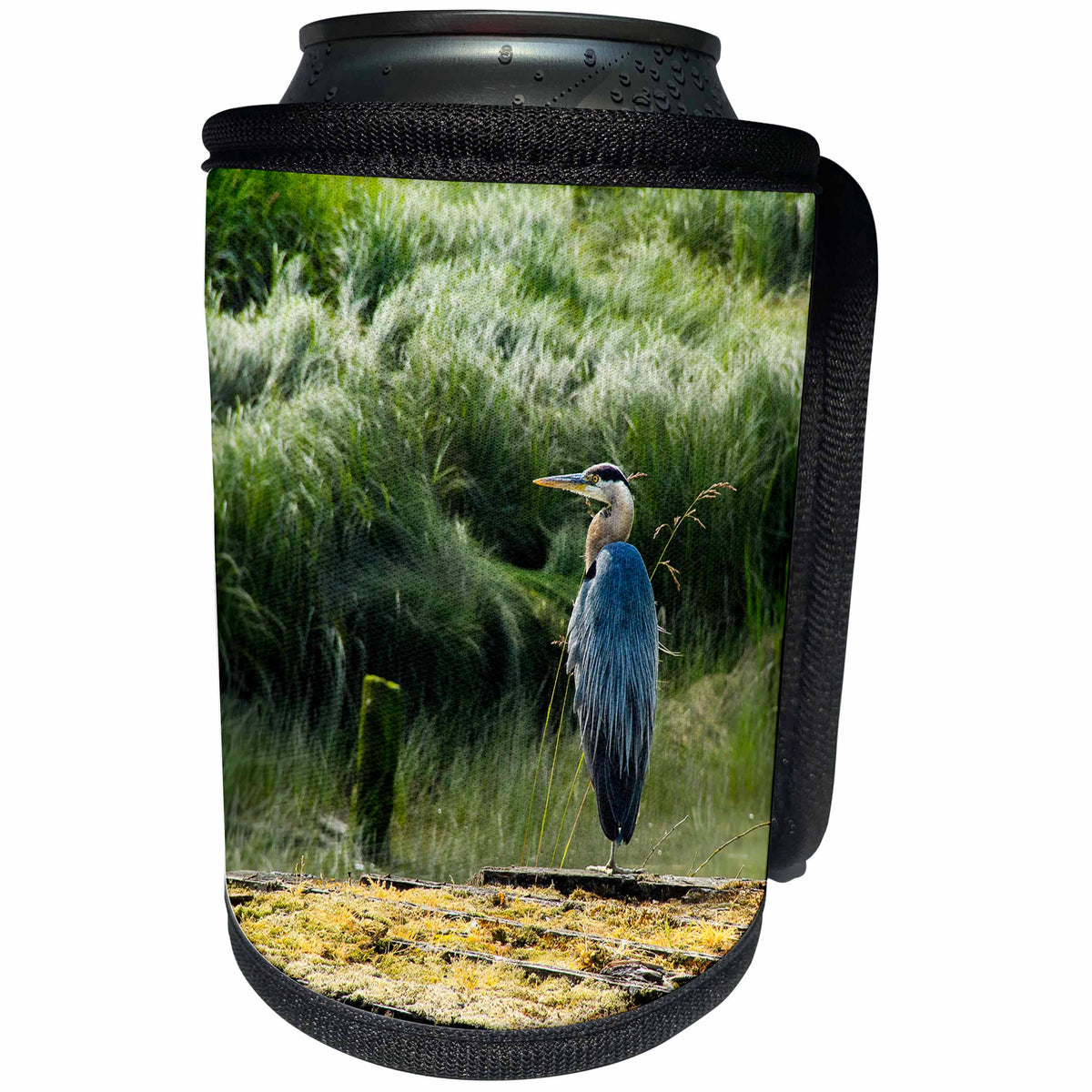3dRose Elysium Photography - Animals - Great blue heron - Can Cooler Bottle Wrap (cc_289617)